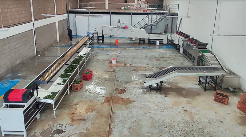 images/1714632241036avocado processing machine.jpg